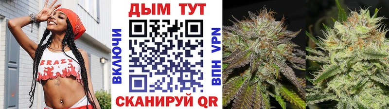 МЕГА вход  продажа наркотиков  Щёкино  Шишки марихуана Ganja 